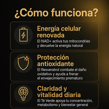 NAD + RESVERATROL | 60 Cápsulas